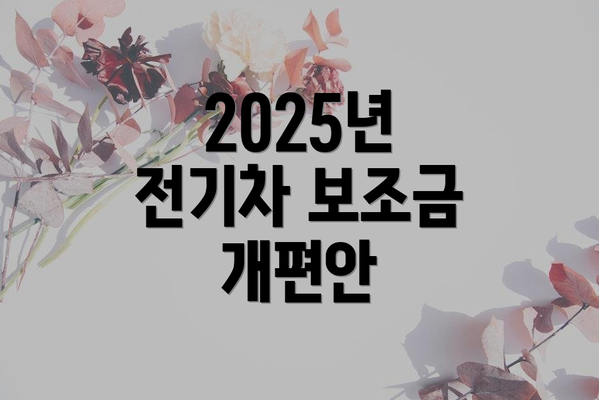 2025년 전기차 보조금 개편안