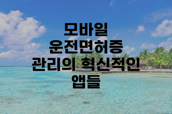 모바일 운전면허증 관리의 혁신적인 앱들