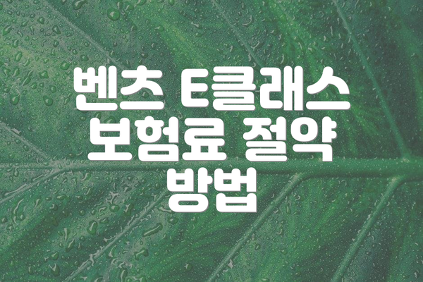 벤츠 E클래스 보험료 절약 방법