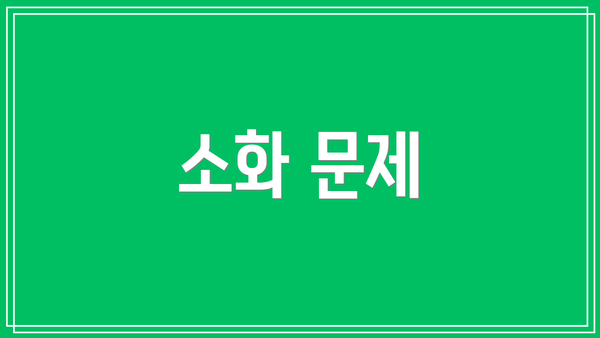 소화 문제