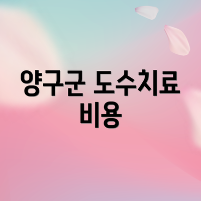 양구군 도수치료 비용