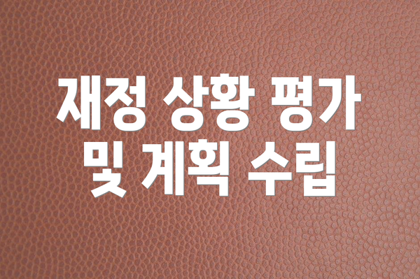 재정 상황 평가 및 계획 수립