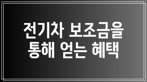 전기차 보조금을 통해 얻는 혜택
