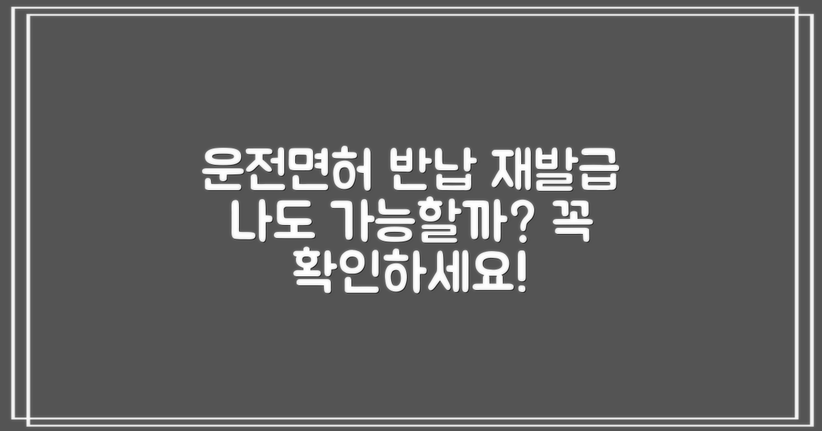 운전면허 반납 후 재발급, 혹시 나도 가능할까? 이것만은 꼭 확인하세요!